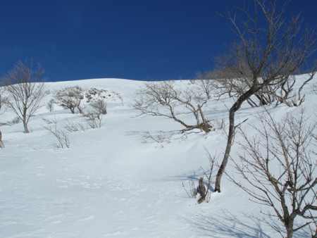f:id:single779:20150207181544j:image