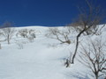 20150207181544