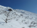 20150207181545