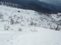 20150207181546
