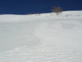 20150207181547