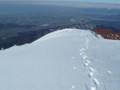 20150207181559