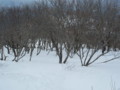 20150207181609