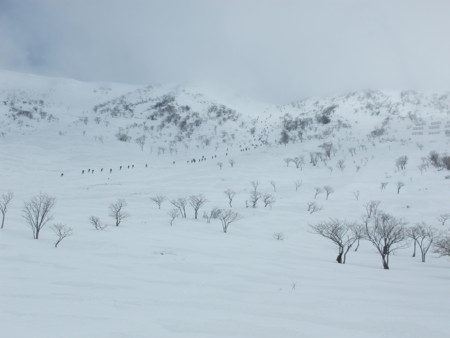 f:id:single779:20150207181611j:image