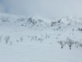 20150207181611