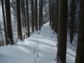 20150214184629