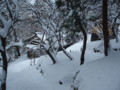 20150214184630