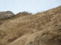 20150418192330