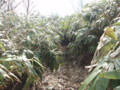 20150418192339