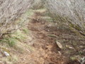 20150418192340