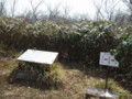 20150418192344