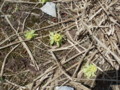 20150418192416