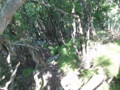 20150523204018