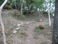 20150523204041