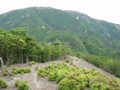 20150523204044
