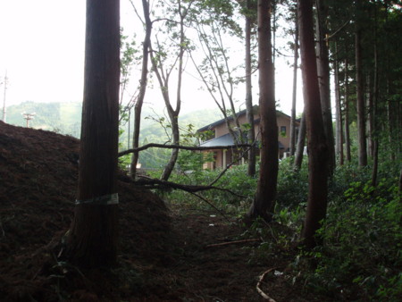 f:id:single779:20150613201636j:image