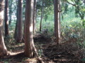 20150613201637