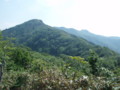 20150613201645
