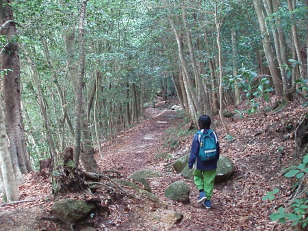 f:id:single779:20150628164905j:image