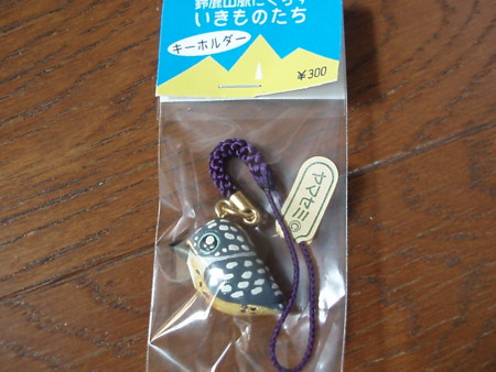 f:id:single779:20150628164909j:image