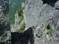 20150713205212