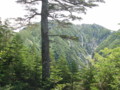 20150727211549