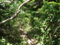 20150803201204