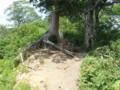 20150803201241