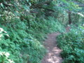 20150803201242
