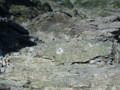 20150824054313