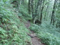 20150824054341