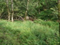 20150921175533