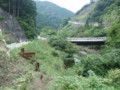 20150921175544