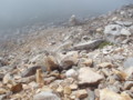 20151004195633