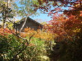 20151004195651