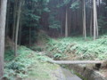 20151010185255
