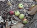 20151010185301