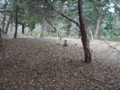 20151010185304