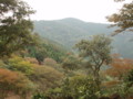 20151010185305