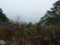 20151010185306