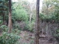20151010185307