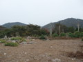 20151010185312
