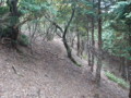 20151010185317