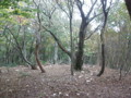 20151010185318