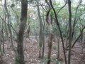 20151010185319