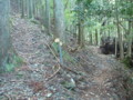 20151017193154