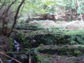 20151017193157