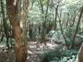 20151017193203