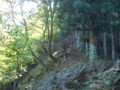 20151017193205
