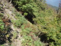 20151017193206